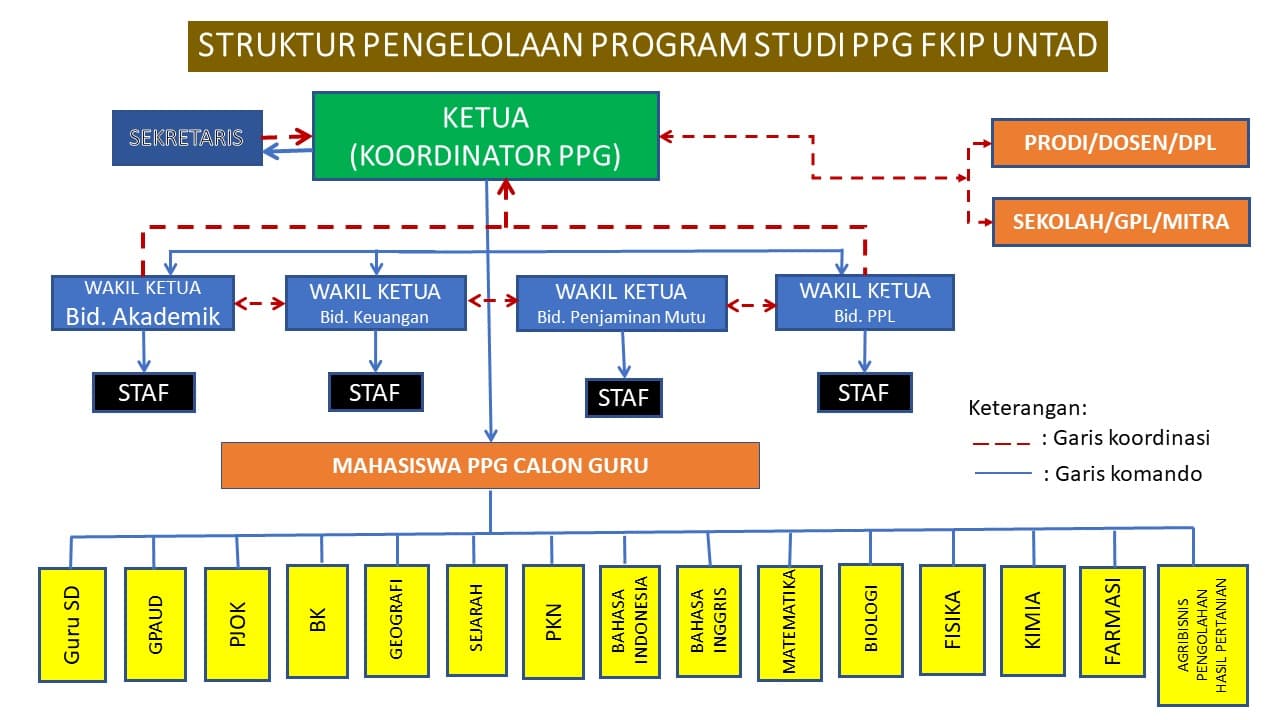 Struktur Organisasi PPG FKIP UNTAD